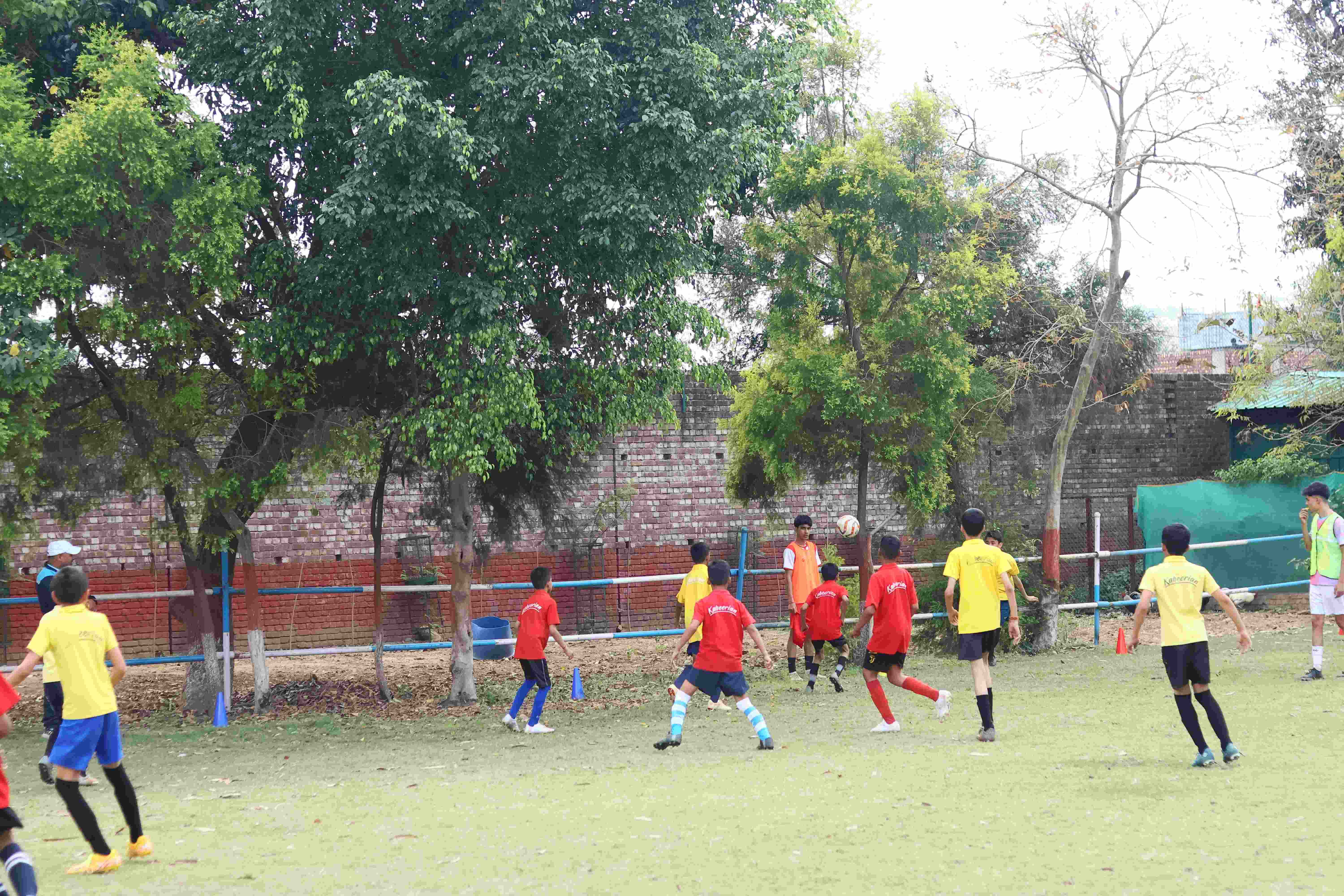 Sports & Athletics